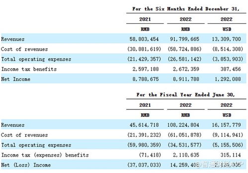 重銷售輕研發，致保科技赴美IPO成長性迎考，單一業務依賴風險凸顯