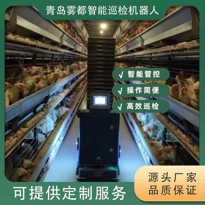 智能養雞巡檢機器人 革新家禽養殖管理的科技新星