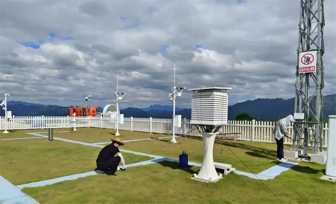 嚴慎細實，云霄輸電業務全力防抗臺風“樺加沙”